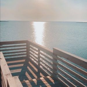 Meet your Posher, Brandy